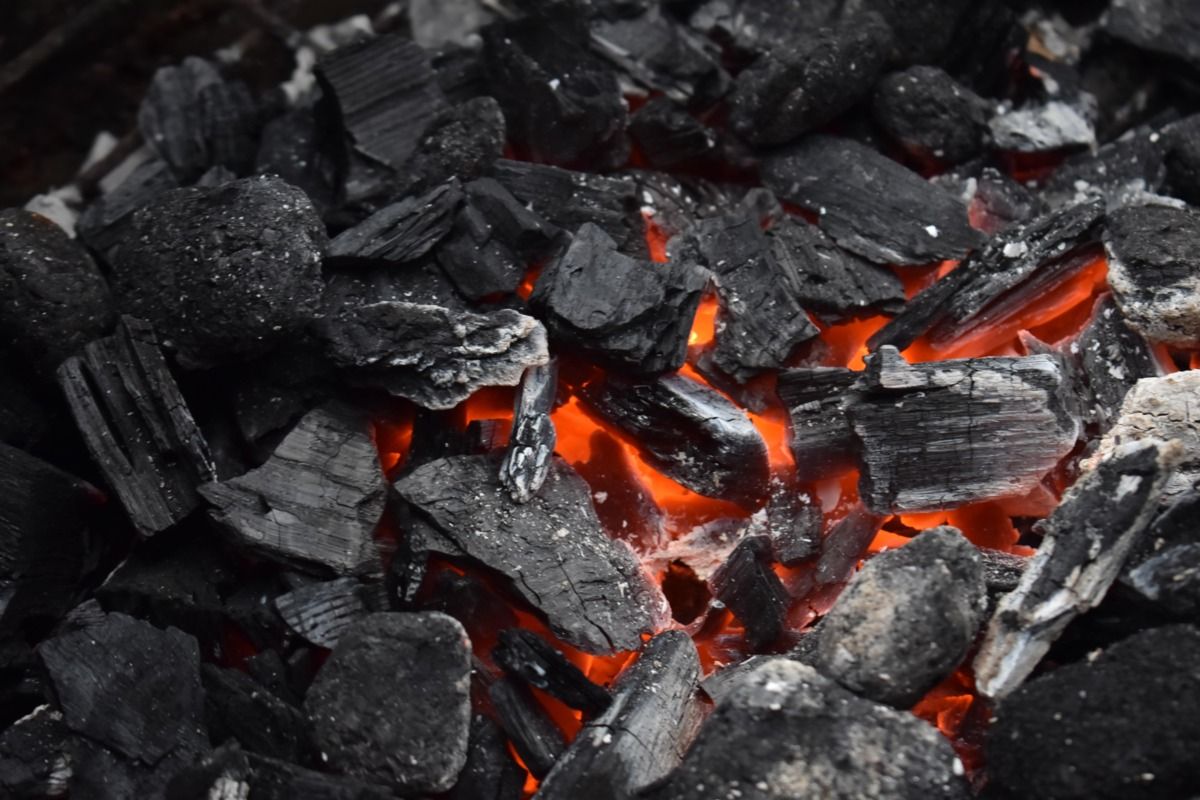 Поради щодо вибору вугілля для шашлику