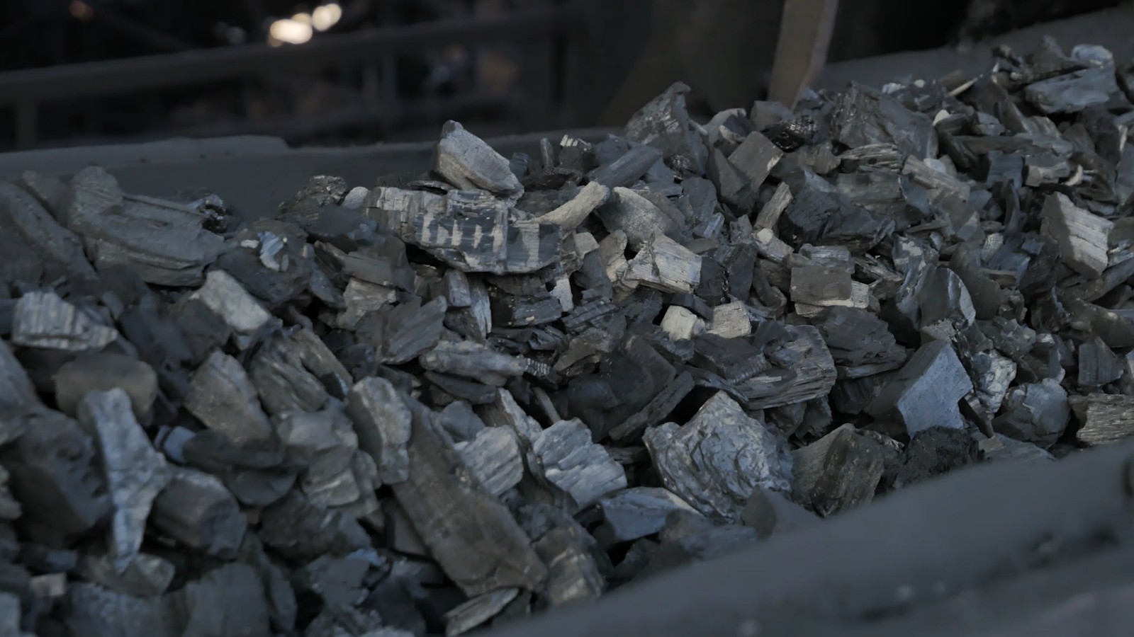 виробництво деревного  вугілля Грилі
